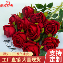 õ廨 ֧õ˹ҾӻY滨ٻָнqõ