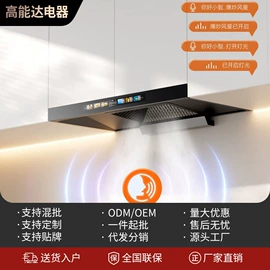 抽油烟机;燃气灶具