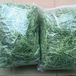 提摩西草牧场直供兔子龙猫荷兰猪豚鼠牧草干纯草短草晒干提摩西草