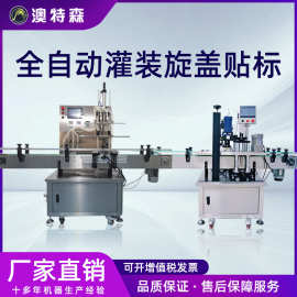 全自动设备生产线液体灌装机矿泉水果汁磁力泵贴标旋盖封口罐装机