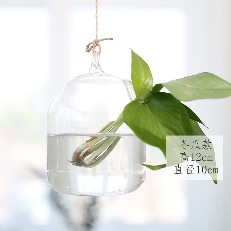Creativo colgante pecera hidropónico de cristal botella decoraciones la boda artesanías caseras creativas