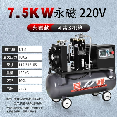 7.5KW screw air compressor industrial grade air pump paint auto repair air low noise compressor (Hava kompressorları) - 75kw-permanent-magnet-220v