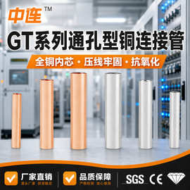 gt铜直接管中间连接管镀锡铜鼻子连接管电线对接铜管压接接线端子