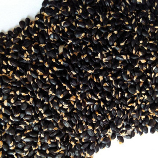 ��Ϛg�N���R�t���q����N���y�G�}�Q�N�Ӱ��ް�ɫ��̾G�h��Ϛg