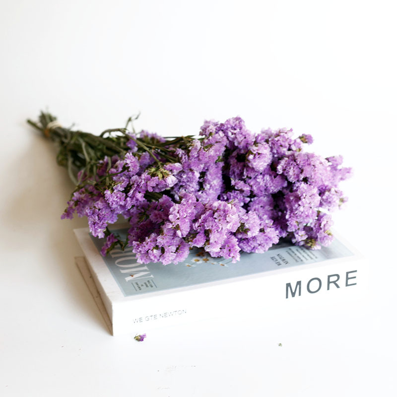 Flor seca Flor eterna Gypsophila Bola de oro No me olvides Flor seca Rosa hoja de eucalipto Pine Fruit Lover Grass al por mayor