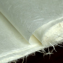 画纸、画布;毛笔;扇子