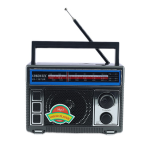 YG-1366���W���F�WFM/AM/SWȫ���β忨TF/SD/USB AC/DC�͹������C