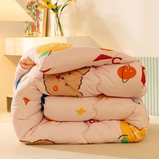 Spring and Autumn Single Quilt Student Dormitory Quilt Core Universal Double Quilt Washed Cotton Warm and Thickeneded Winter Pingrun