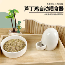鹌鹑网红鸡鸟小雏鸡食盒芦丁鸡喂食器水槽水壶自动饮水器下饲料盒