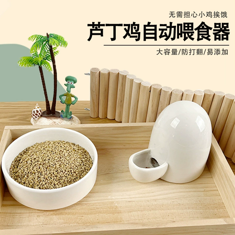 Перепелиная сетка Красная курица Птица Маленькие цыплята Коробка для еды Рутин Куриная кормушка Раковина Чайник Автоматическая поилка Нижняя коробка для корма