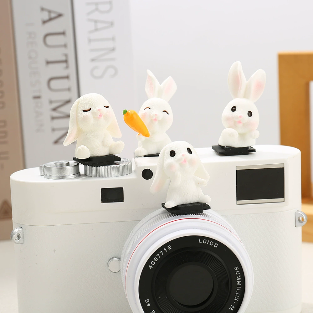 Sony, Nikon, Canon, совместимая камера