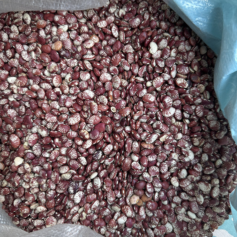徽五弟农家自种斑马豆源头工厂斑马芸豆一手货源多品批发零售包邮|undefined