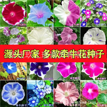 �󻨠�ţ���N���ش�̖���Ȼ����������҃�ͥԺ�����ļ��׻�N��