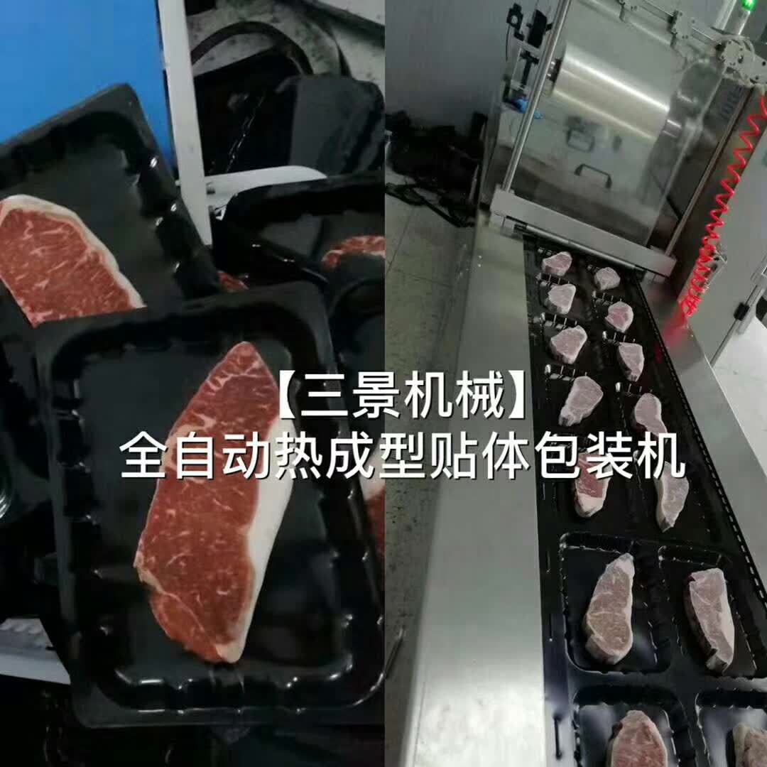 三景热成型贴体包装机 全自动贴体包装机 一机多用