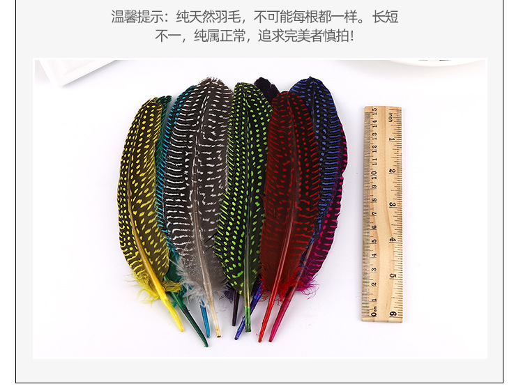 珍珠窝翎_05.jpg