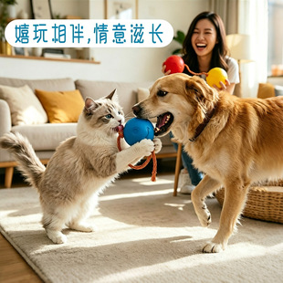 �羳�������������Ӗ������ҧ�ߏ��o��ĥ��؈�䌙�ﹷ���Ӗ��