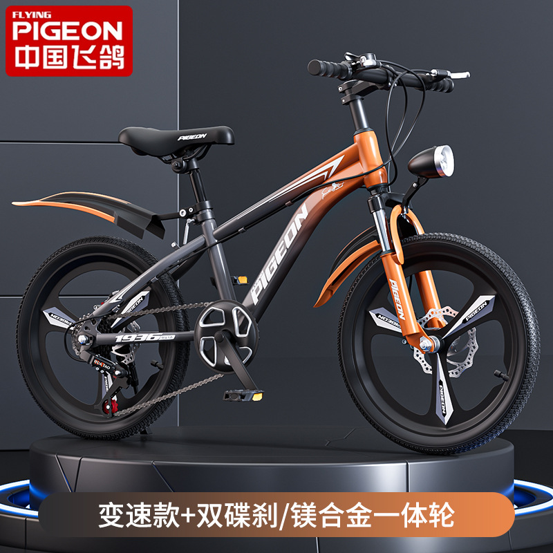 Gradient black + variable speed integrated wheel + shock absorption + gift package