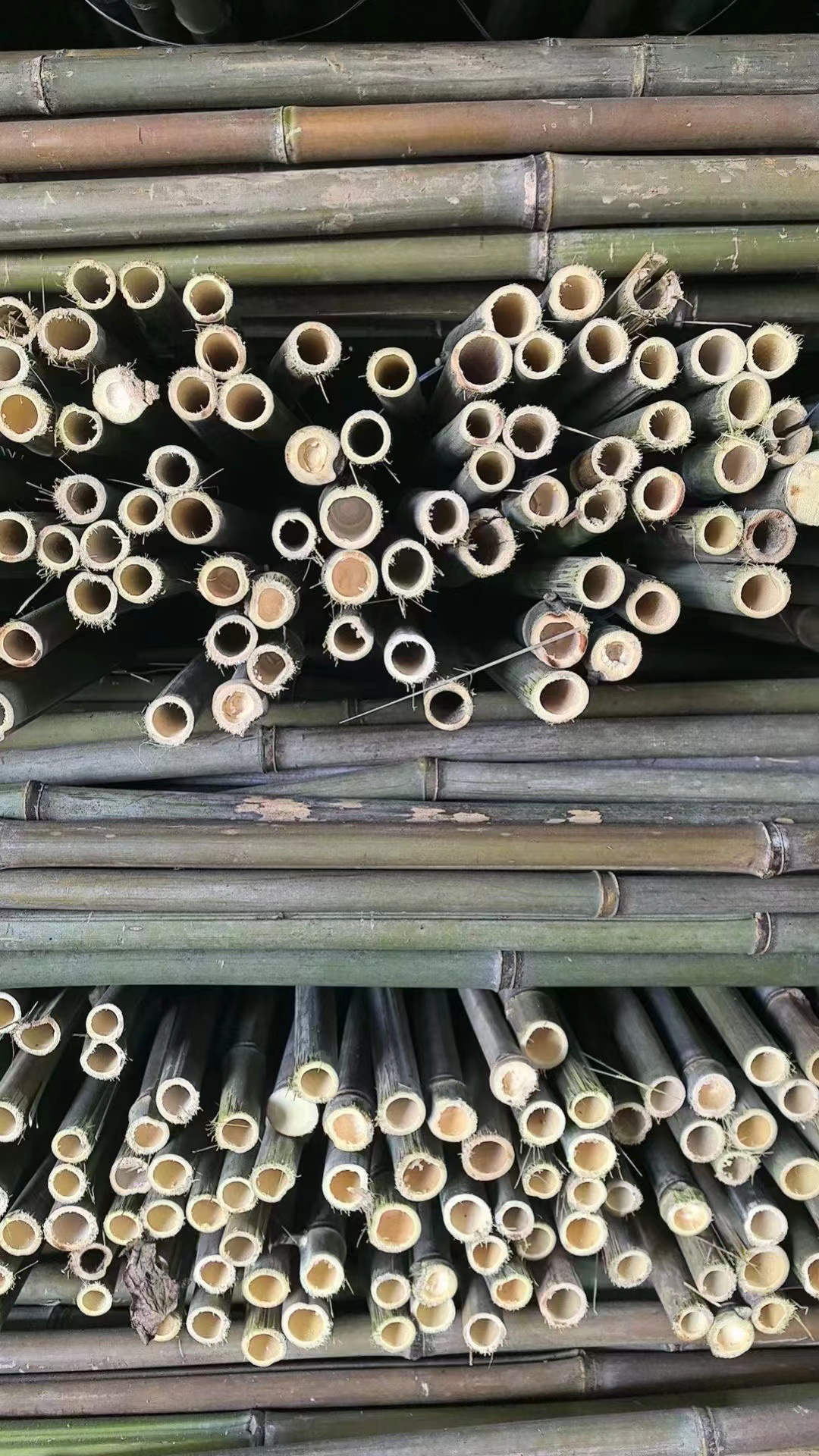 微信图片_202402211424092