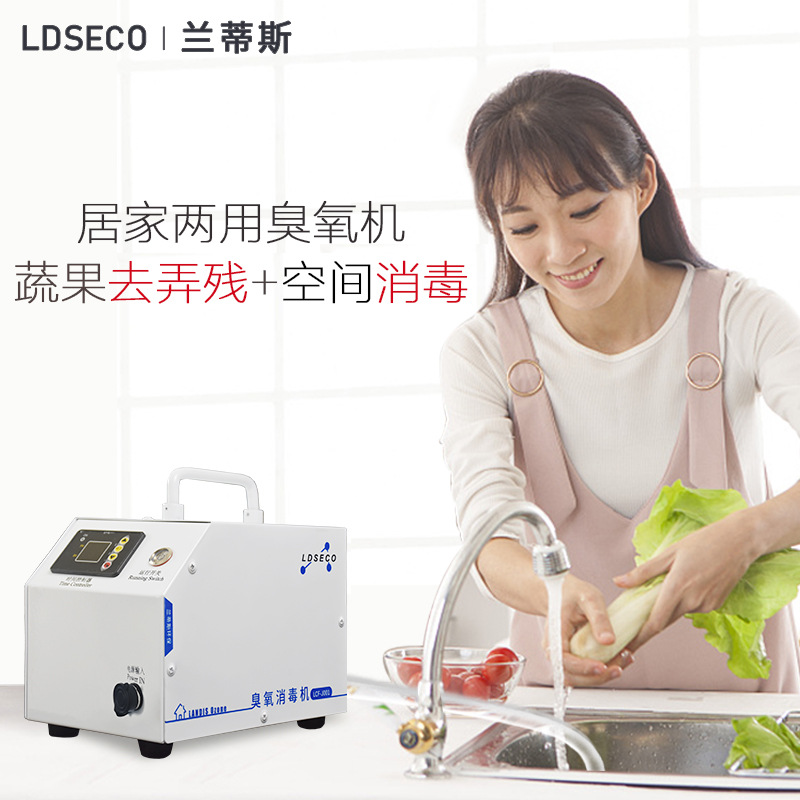 兰蒂斯厂家批发定时款1g小型办公室除甲醛家用去除农残臭氧发生器