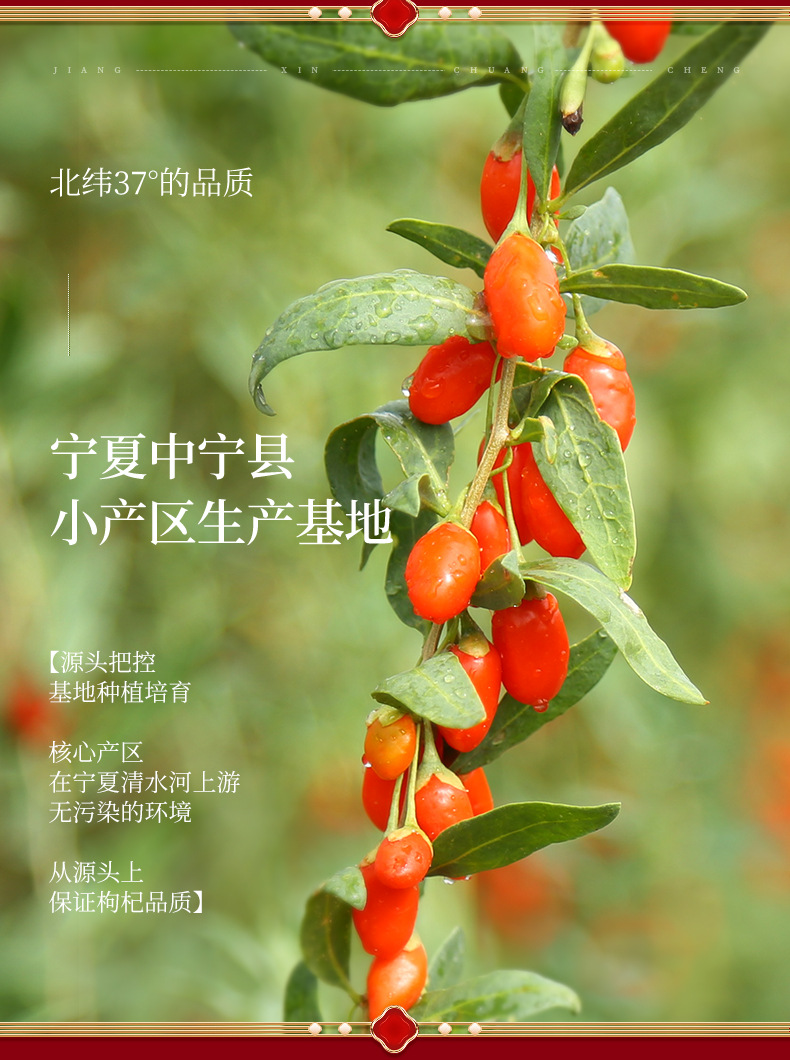 Freeze Dried Goji Berries Ready to Eat Ningxia Wolfberry 70g in use