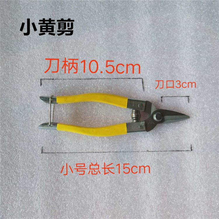 详情图
