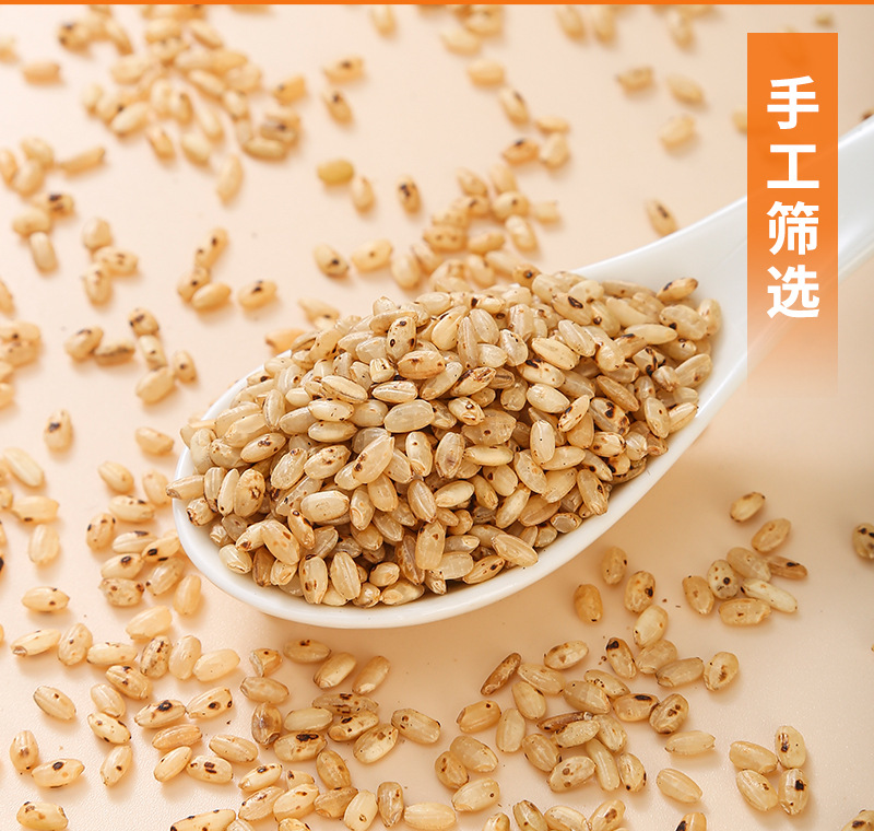 Brown Rice (Oryza sativa) — Northeast New-Crop Whole Grain for Rice Tea & Congee specifications