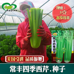 �ļ����۷N�� �r��ˈ@�~���G���й���۴��w�S�������۲��߲���