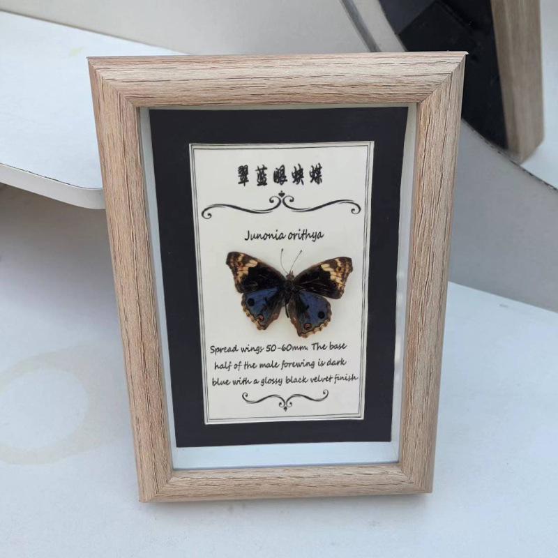 Specimen Frame Butterfly Teaching Insect Three-Dimensional Hollow Display Stand Hollow 1.5 DIY Real Glass Handmade Picture Frame