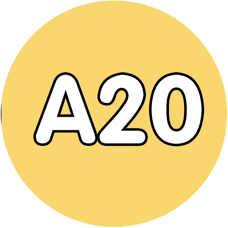 [10g auto-selección de paquete suplementario de galletas de frijol 221 color verde de alta calidad fusión frijol diy hecho a mano