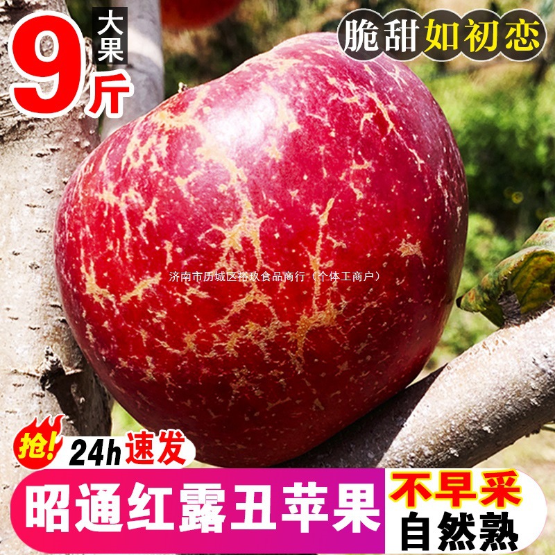 云南昭通市丑苹果红露水果新鲜整箱当季10斤富士糖心苹果绍通包邮