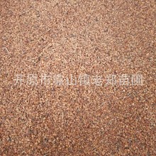 GNľ̶NѲyͺ^pܾGֲ