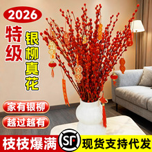 银柳真花鲜枝客厅摆件新年招财红色干花室内卧室摆件花年宵花银柳