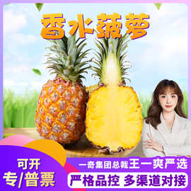 【严选】广东香水菠萝 代发8斤新鲜菠萝酸甜应季孕妇水果非凤梨