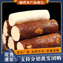 �S��ľ�����r�F�ڏV���خa�r���S�������������ˮ��ʳ�÷�Ŵ����