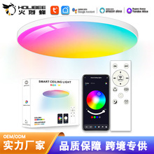 �T�fWiFi�{���������l����픟�RGBCW��APP�h�̿���֧��alexa�Z��