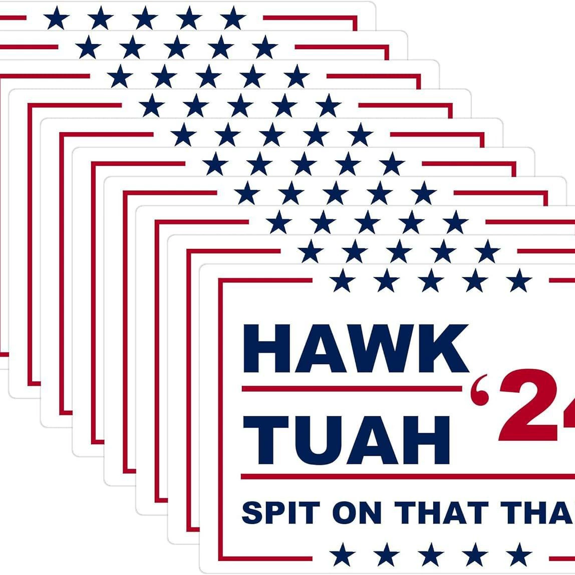 HAWK TUAH Отплёвывайте на ту вещь 10 шт наклейки, политически чувствительные темы