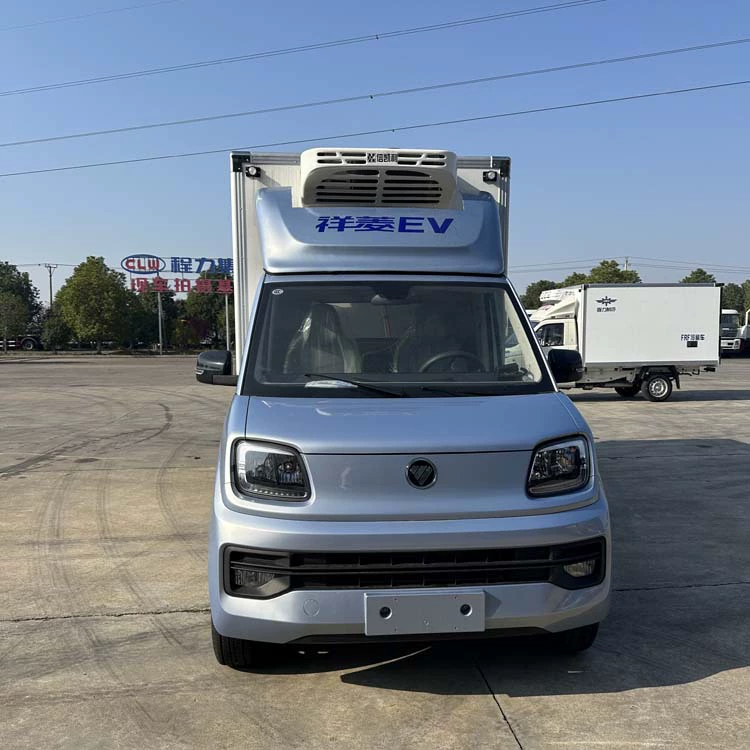 Foton Times Рефрижераторный грузовик синий ярлык Грузовик с вакциной против бешенства Гарантия качества