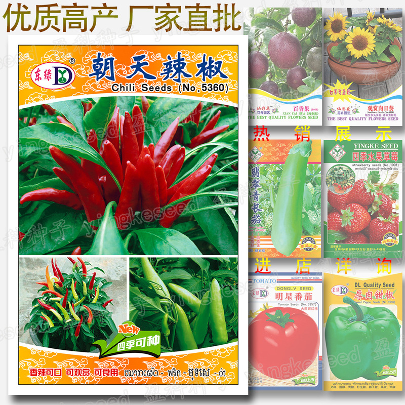 Chaotian Pepper Seeds, Pepper Seeds, Chaotian Pepper Seeds, Pepper Seeds, Vegetable Seeds Wholesale