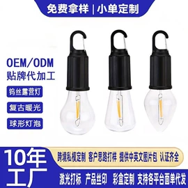 太阳能灯;手电筒;野营/露营灯