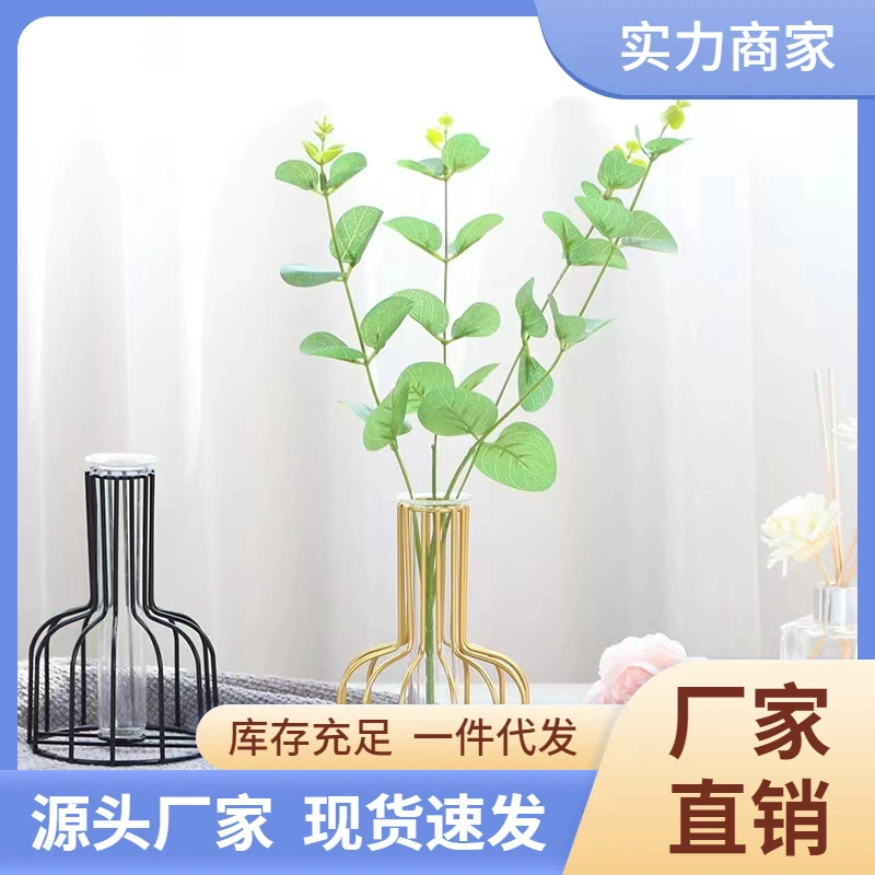 Прозрачная стеклянная ваза-пробирка в стиле INS для гостиной, минималистичное украшение для сухоцветов, оптовая продажа флористики, живые цветы, стиль INS