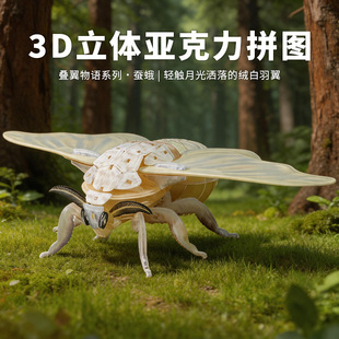 DIY Acrylic Assembly Model Kit, Clear Plastic Puzzle Figure,