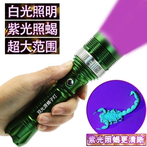 Scorpion lamp, ultra-bright purple light, specialized for catching scorpions, rechargeable UV flashlight for money detection