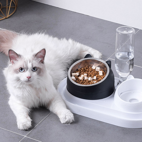 Cat bowl double bowl automatic drinking water dog bowl dog bowl food bowl Teddy rice bowl pet drinking water dog ceramic cat supplies