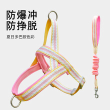 跨境狗狗胸背带小中大型犬防爆冲柯基柴犬宠物幼犬狗牵引绳现货