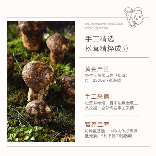 Baizhentang matsutake mushroom soothing mask hydrating moisturizing pore shrinking mask patch source manufacturer wholesale
