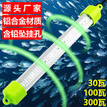 ����300�߽����X�Ͻ���߅�ξG���{�Sɫ��s���~���T�~����~��