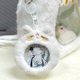 Fox Fox Fox Plush Wallet Cute Storage Bag Small Pain Bag Transparent Display Student Millet Protection
