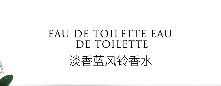 蓝风铃详情_01.jpg
