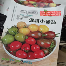 混装小番茄种子彩色西红柿阳台盆栽庭院播农家作物水果疏蔬菜种籽