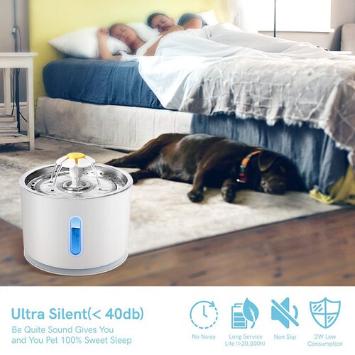 2.4L stainless steel flower pet water dispenser cat and dog water feeder